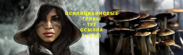 наркотики Алексин