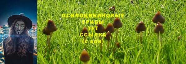 наркотики Алексин